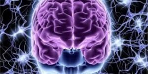 Neuropsikologi: 