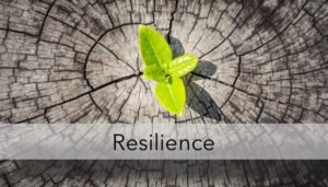 Cara Membangun Resiliensi Diri Agar Bangkit Dari Kegagalan: 