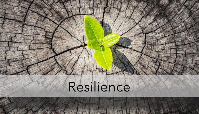 Cara Membangun Resiliensi Diri Agar Bangkit Dari Kegagalan: